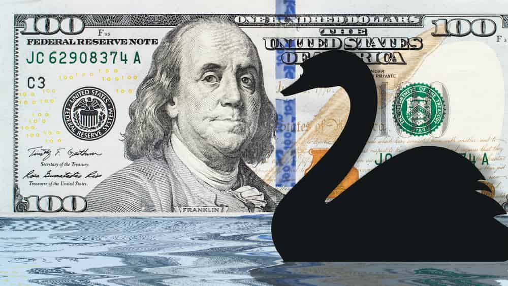 cigno nero finanza