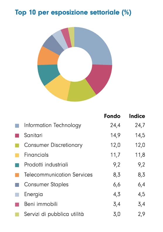 esposizione settoriale dividend us