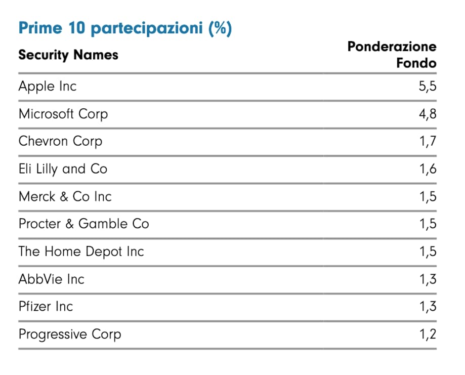 principali partecipazioni etf dividend us